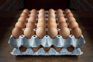 Eggs in paper tray photo