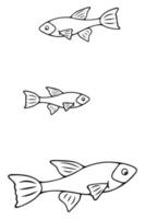 Freshwater fish. Guppy. Pet in the aquarium. Sketch. Set of vector illustrations. Doodle style. Outline on isolated background. Coloring book. I
