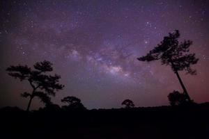 Silhouette of Tree and Milky Way, Long exposure photograph. photo