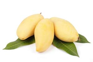 Mango fruit with leaf white background photo