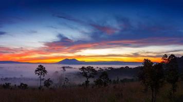 Misty morning sunrise at Thung Salang Luang National Park Phetchabun,Thailand photo