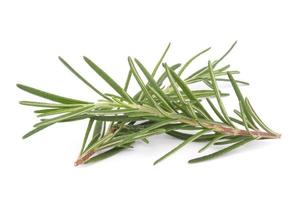 rosemary isolated on white background photo