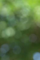 Abstract circular bokeh nature background of light photo