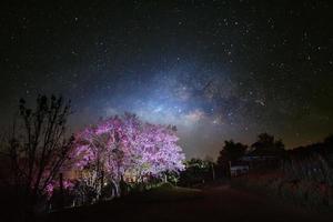 Milky Way Galaxy and Cherry blossom pathway in Khun Wang ChiangMai, Thailand.Long exposure photograph.With grain photo