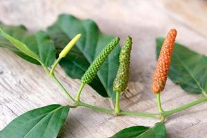 Long pepper or Piper longum on wooden table photo