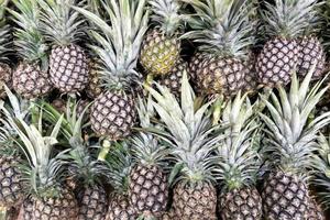 Fresh pineapple in local market photo