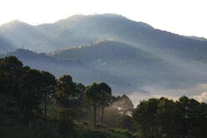 amanecer brumoso en la montaña doi angkhang, chiangmai tailandia foto