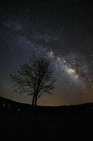 Milky Way and silhouette of tree at Phu Hin Rong Kla National Park,Phitsanulok Thailand, Long exposure photograph.with grain photo