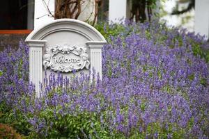 Welcome sign on stone background with lavender flower photo