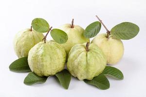 Fresh guava on white background photo