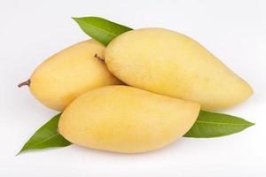 Mango fruit with leaf white background photo