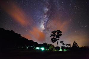 Silhouette of tree with cloud and milky way. Long exposure photograph,with grain photo