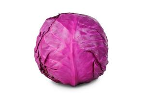 red cabbage  on white photo