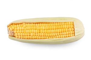 Sweet corn on white background photo