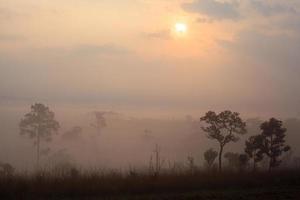 brumoso amanecer matutino en el parque nacional thung salang luang phetchabun,tung slang luang es sabana de pastizales en tailandia foto