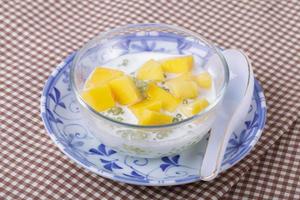 Thai dessert of sago with coconut milk and mango photo