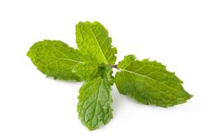 Fresh mint herb leaves isolated on white background photo