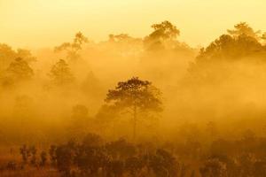 Brumoso amanecer en la montaña en el parque nacional de Thung Salang Luang Phetchabun, Tailandia foto