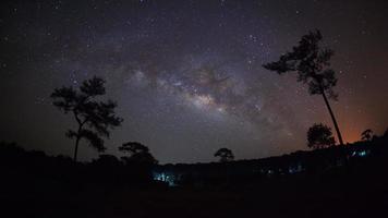 silueta de árbol y hermosa vía láctea en un cielo nocturno. fotografía de larga exposición. foto