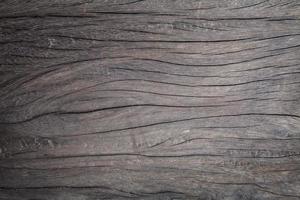 Wood texture background photo
