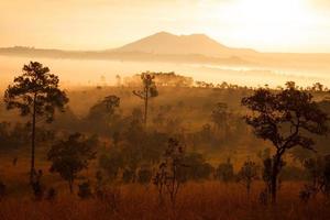 Brumoso amanecer en la montaña en el parque nacional de Thung Salang Luang Phetchabun, Tailandia foto