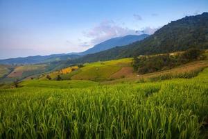 Green Terraced Rice Field at Ban Pa Bong Peay in Chiangmai, Thailand photo