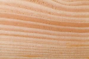 Wood texture background photo