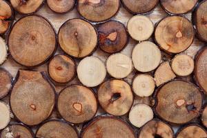 troncos de madera real pila de fondo foto