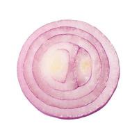 red onion bulb on white photo