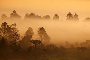 Brumoso amanecer en la montaña en el parque nacional de Thung Salang Luang Phetchabun, Tailandia foto