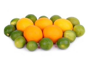 fresh orange and citrus fruits photo