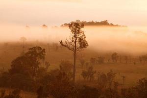 misty morning sunrise in mountain at Thung Salang Luang National Park Phetchabun,Thailand photo