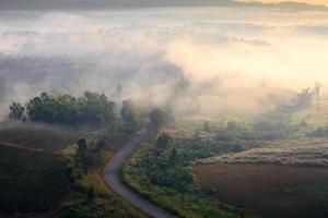 misty morning sunrise in mountain at Khao-kho Phetchabun,Thailand photo