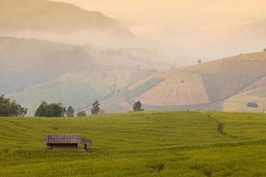 campo de arroz verde en terrazas durante el amanecer en ban pa bong peay en chiangmai, tailandia foto