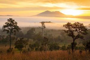 misty morning sunrise in mountain at Thung Salang Luang National Park Phetchabun,Thailand photo