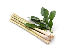 Lemongrass and kaffir lime leaveson white photo