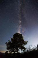 silueta de árbol y vía láctea foto