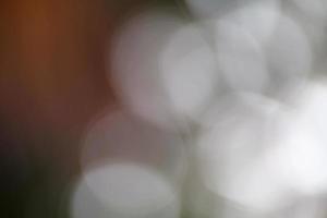 Abstract circular bokeh background of light photo