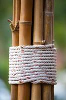 rope and bamboo trunk photo