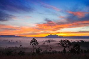 misty morning sunrise in mountain at Thung Salang Luang National Park Phetchabun,Thailand photo