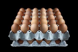 Eggs in paper tray on black background photo