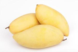 Yellow mango fruit on white background photo