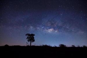 silueta de árbol y vía láctea. fotografía de larga exposición. foto