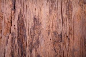 wood texture background photo