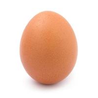 huevo sobre fondo blanco foto