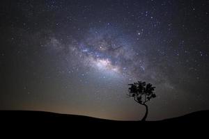 silueta paisajística de árbol con galaxia vía láctea y polvo espacial en el universo, cielo estrellado nocturno con estrellas foto