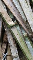 A pile of unused bamboo due to age photo