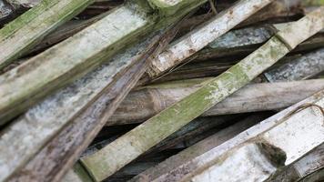 A pile of unused bamboo due to age photo