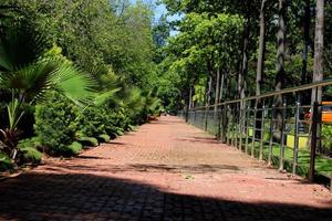 un sendero cerca del jardín de rocas, almatti. foto