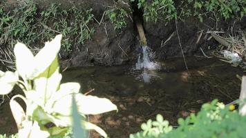 la fuente de agua muy limpia fluye en tuberías hechas de bambú típicas del pueblo indonesio video